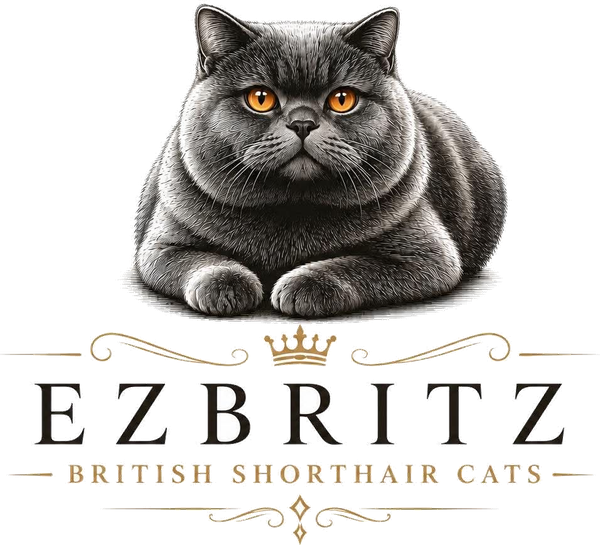 EzBritz